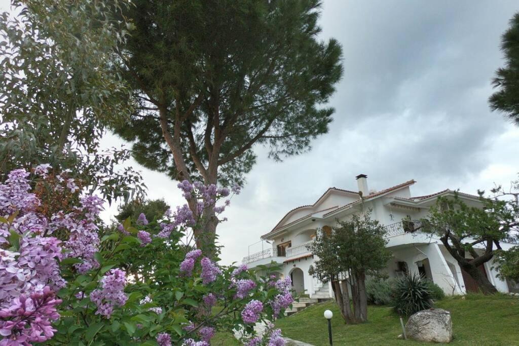 Triple H Villa Волос Екстериор снимка